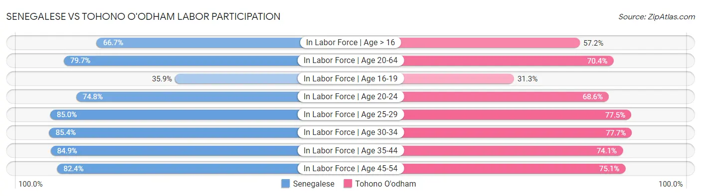 Senegalese vs Tohono O'odham Labor Participation