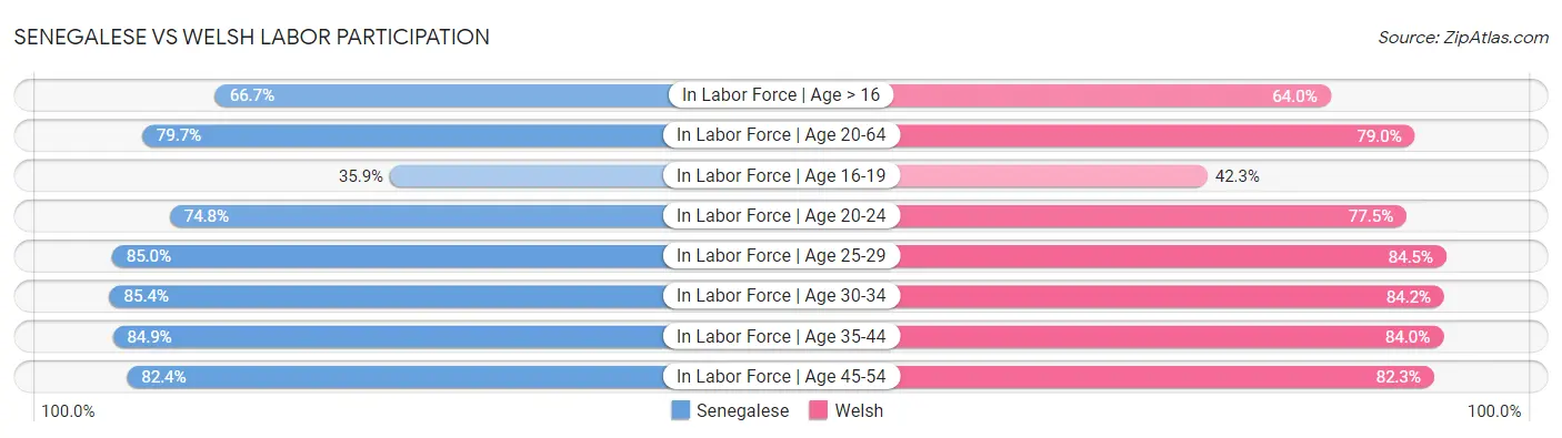 Senegalese vs Welsh Labor Participation