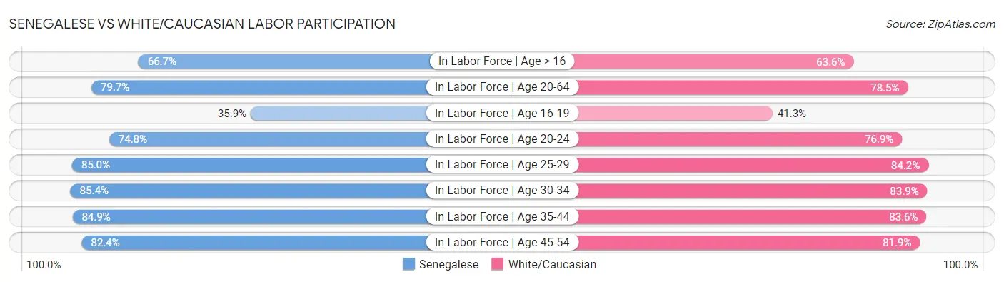 Senegalese vs White/Caucasian Labor Participation