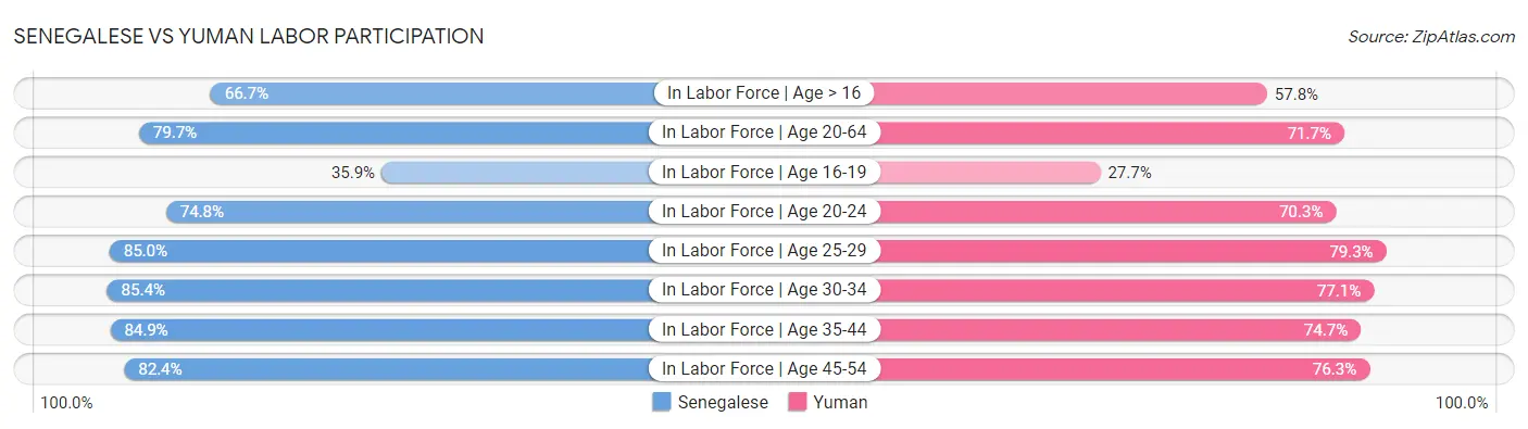 Senegalese vs Yuman Labor Participation