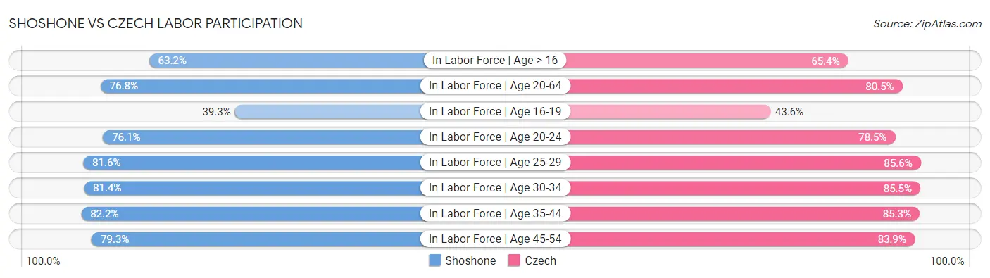 Shoshone vs Czech Labor Participation