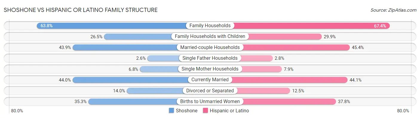 Shoshone vs Hispanic or Latino Family Structure