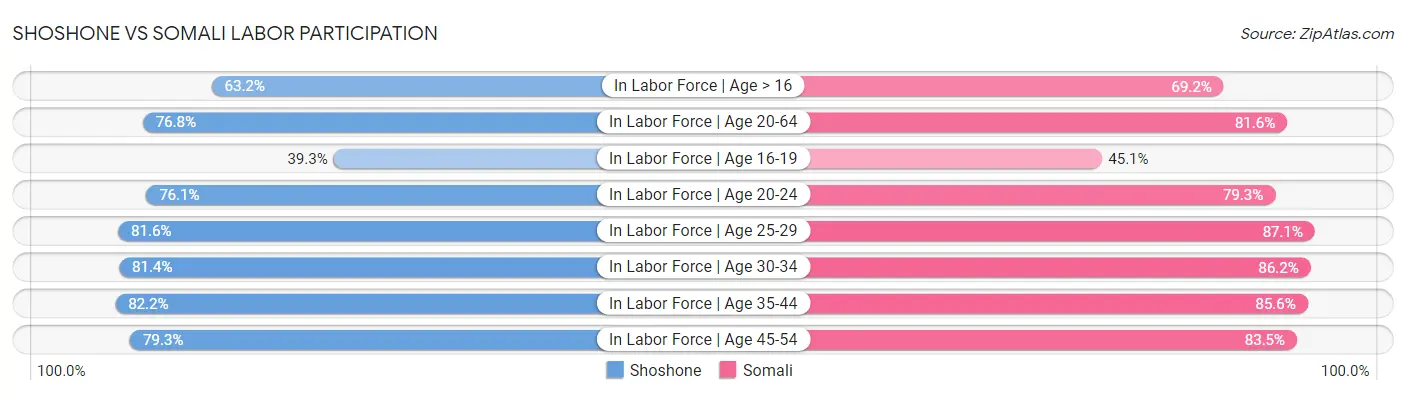 Shoshone vs Somali Labor Participation