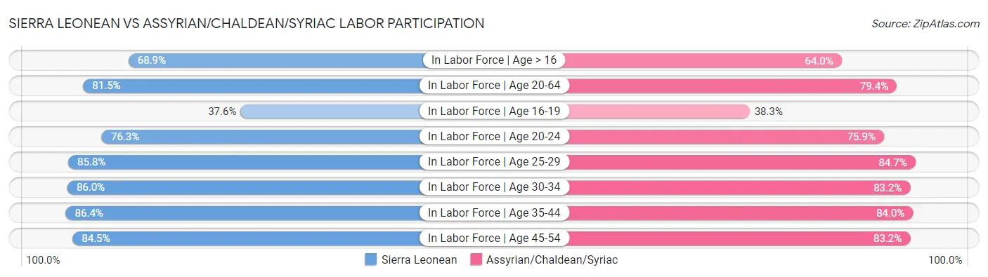 Sierra Leonean vs Assyrian/Chaldean/Syriac Labor Participation