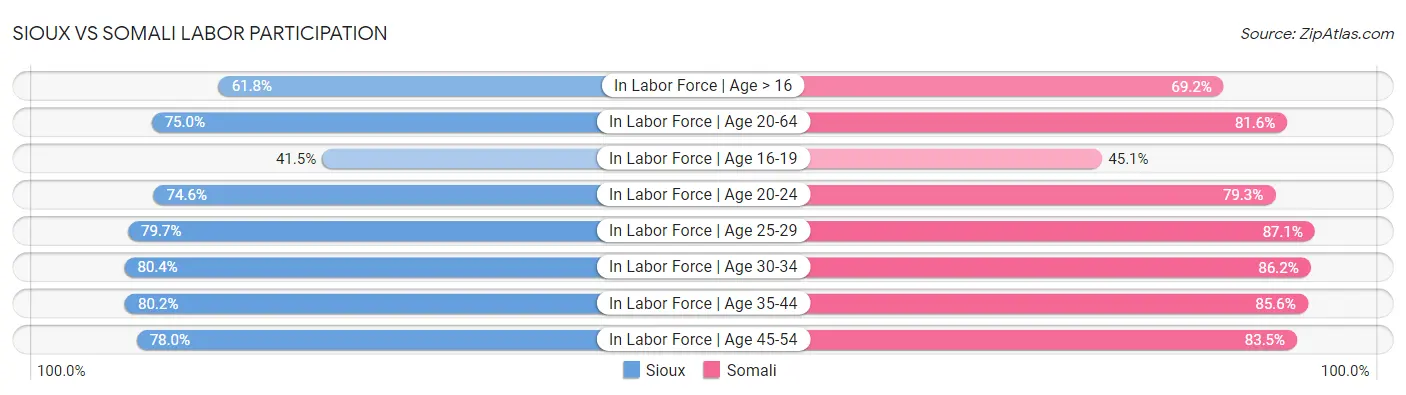 Sioux vs Somali Labor Participation