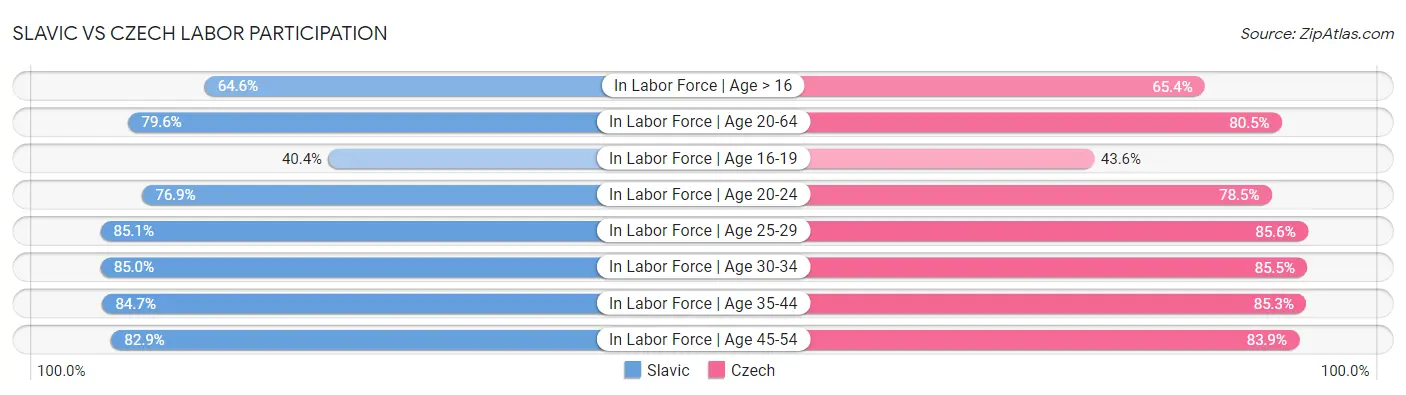 Slavic vs Czech Labor Participation