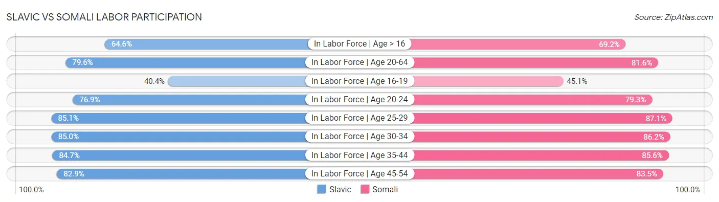 Slavic vs Somali Labor Participation