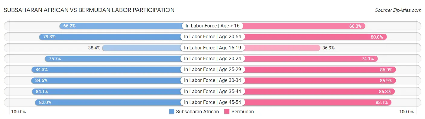 Subsaharan African vs Bermudan Labor Participation