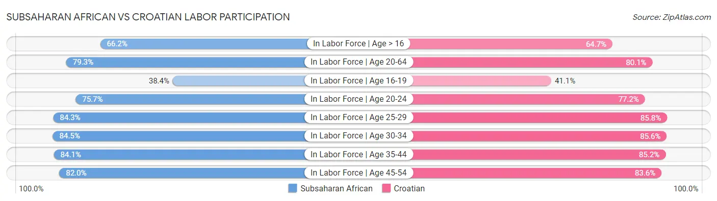 Subsaharan African vs Croatian Labor Participation