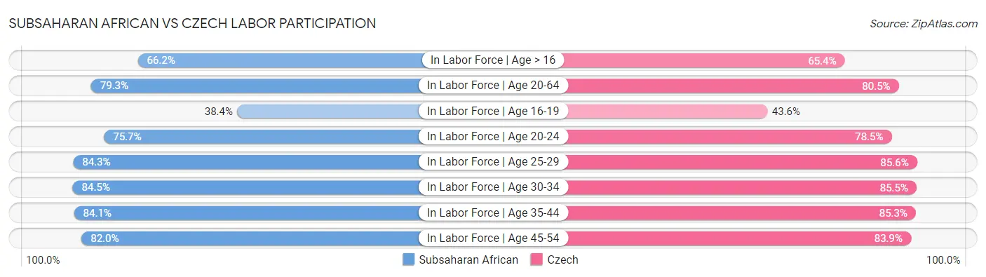Subsaharan African vs Czech Labor Participation