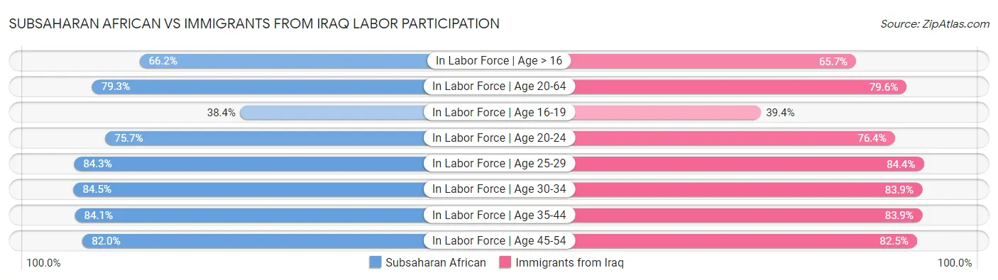 Subsaharan African vs Immigrants from Iraq Labor Participation