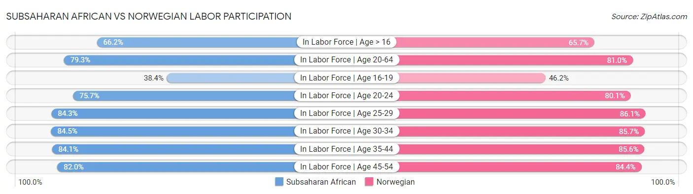 Subsaharan African vs Norwegian Labor Participation