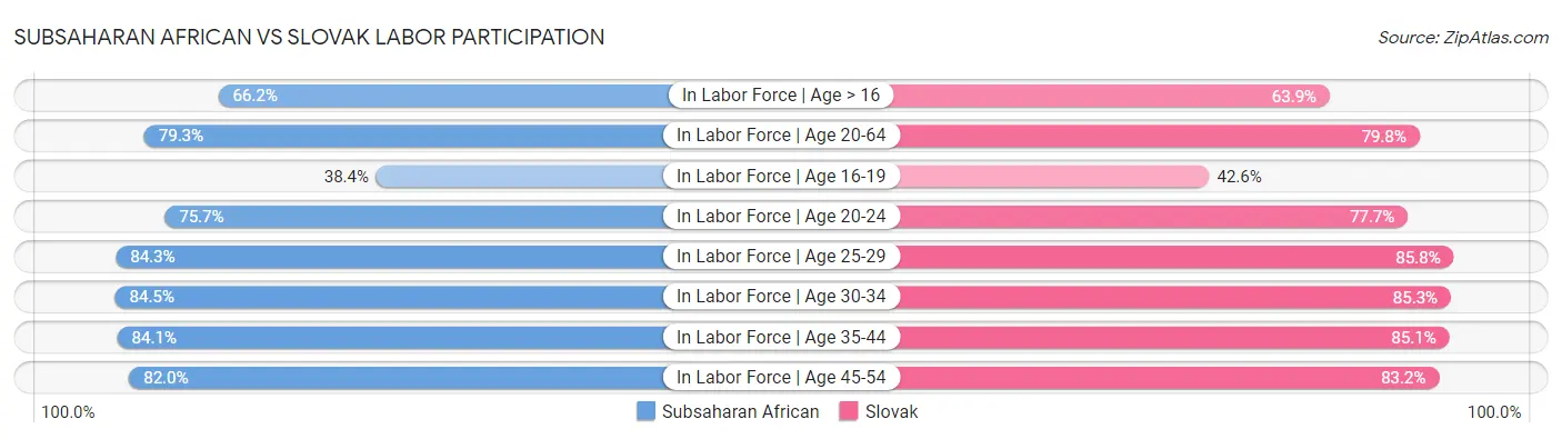 Subsaharan African vs Slovak Labor Participation