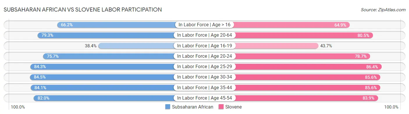 Subsaharan African vs Slovene Labor Participation