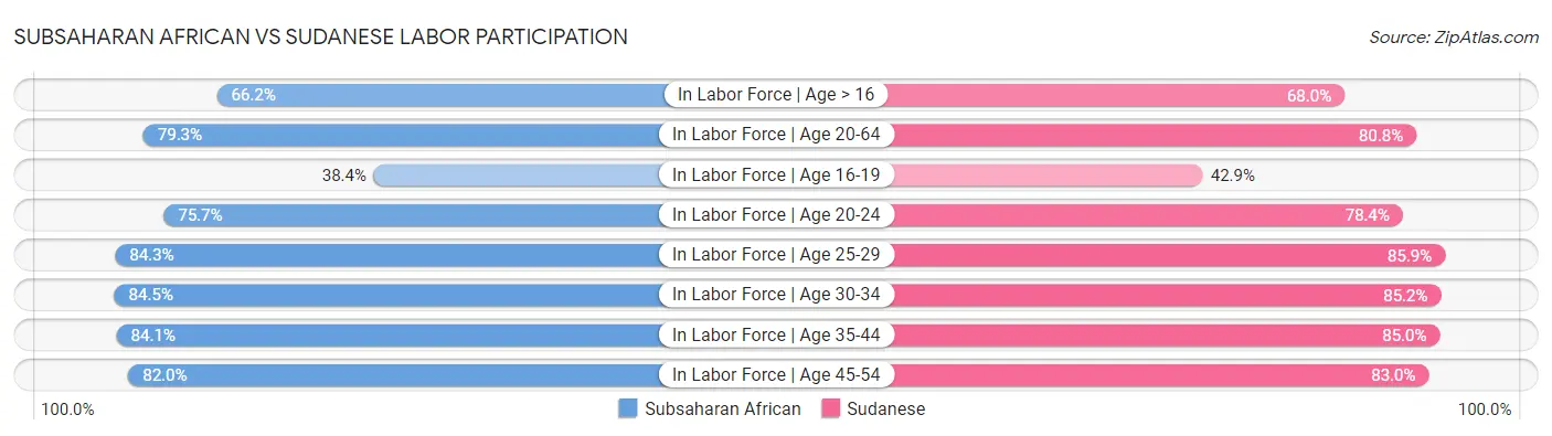Subsaharan African vs Sudanese Labor Participation