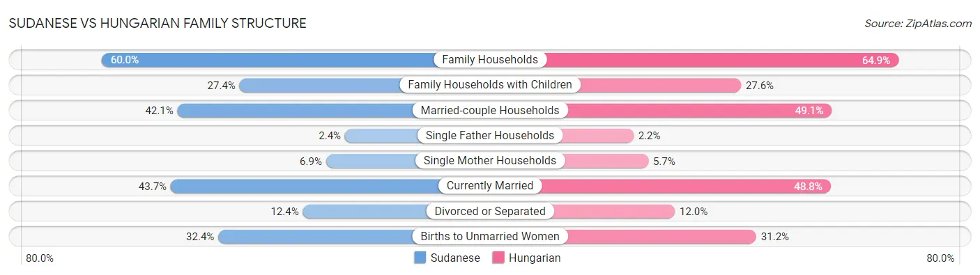 Sudanese vs Hungarian Family Structure