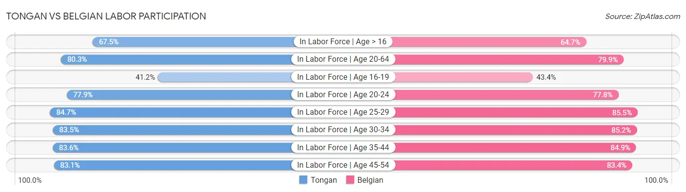 Tongan vs Belgian Labor Participation