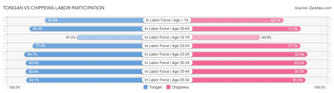 Tongan vs Chippewa Labor Participation