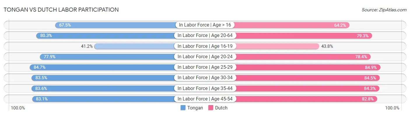 Tongan vs Dutch Labor Participation