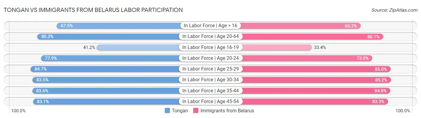 Tongan vs Immigrants from Belarus Labor Participation