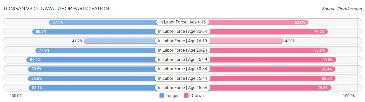 Tongan vs Ottawa Labor Participation