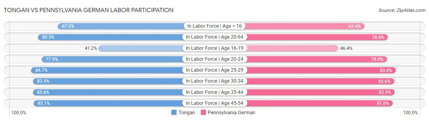 Tongan vs Pennsylvania German Labor Participation