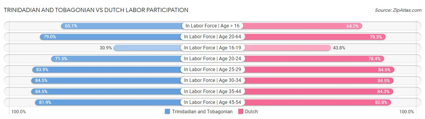 Trinidadian and Tobagonian vs Dutch Labor Participation
