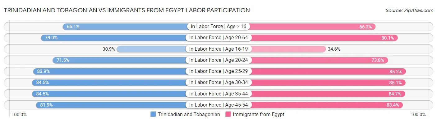 Trinidadian and Tobagonian vs Immigrants from Egypt Labor Participation