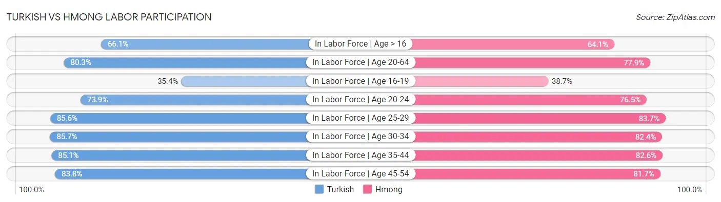 Turkish vs Hmong Labor Participation