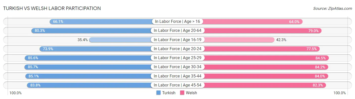 Turkish vs Welsh Labor Participation