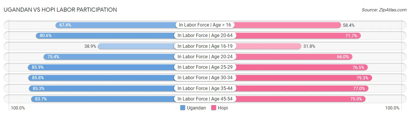 Ugandan vs Hopi Labor Participation