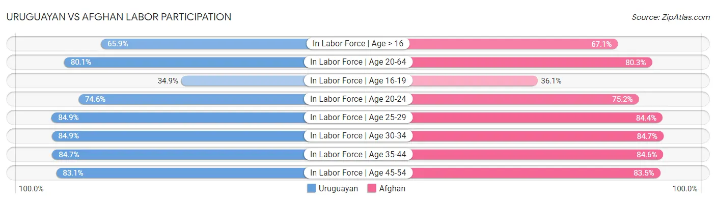 Uruguayan vs Afghan Labor Participation
