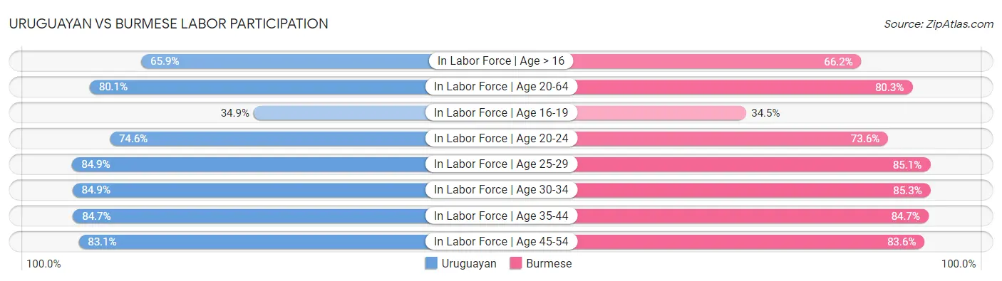 Uruguayan vs Burmese Labor Participation
