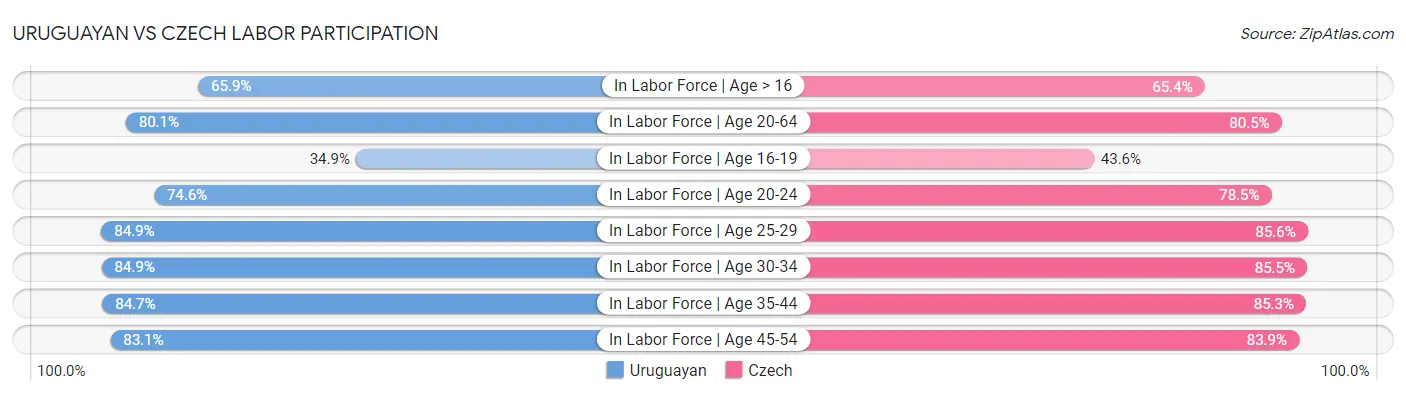 Uruguayan vs Czech Labor Participation