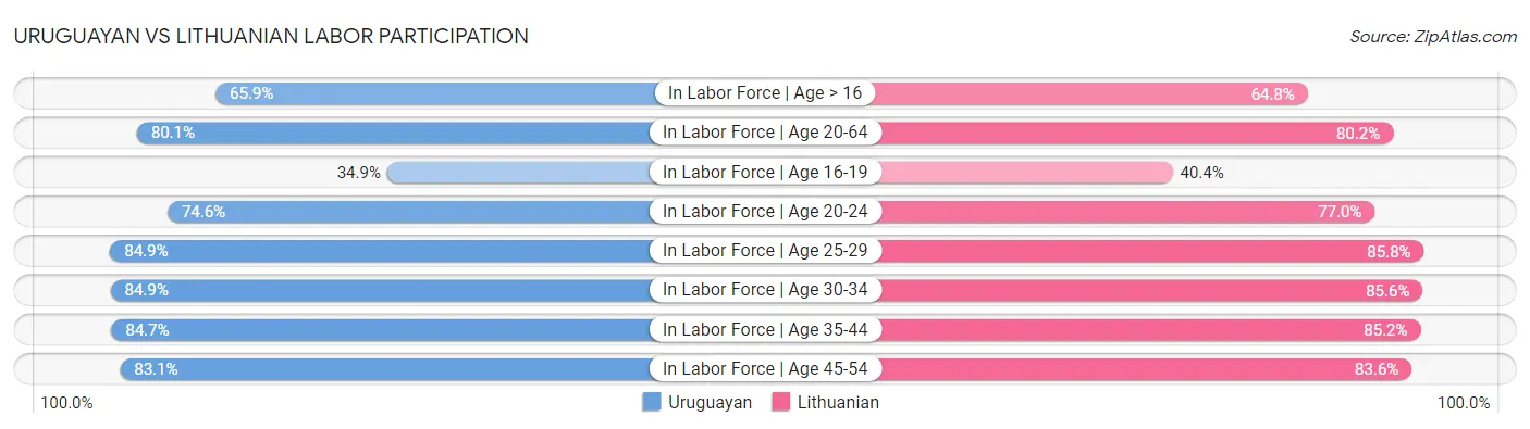 Uruguayan vs Lithuanian Labor Participation