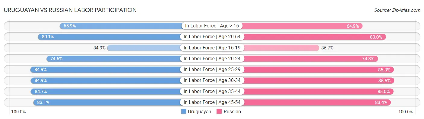 Uruguayan vs Russian Labor Participation