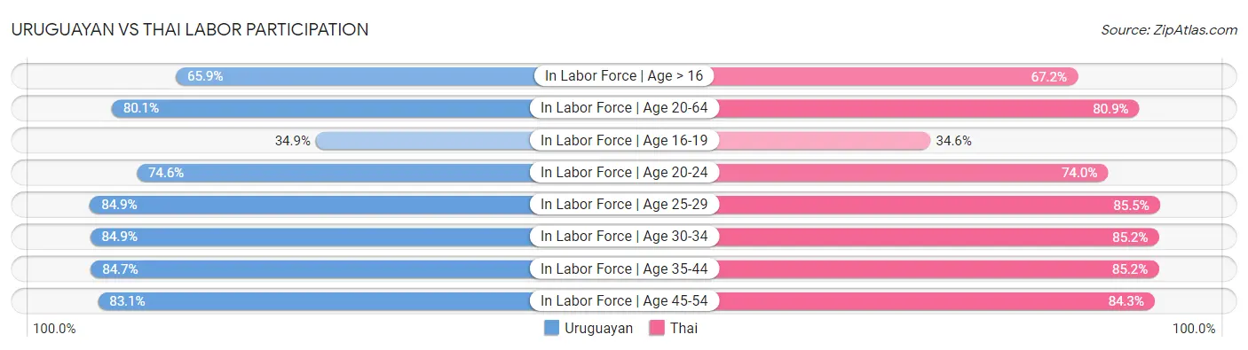 Uruguayan vs Thai Labor Participation