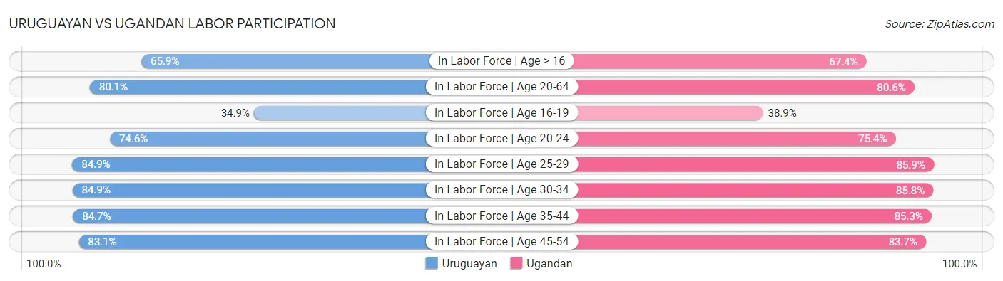 Uruguayan vs Ugandan Labor Participation