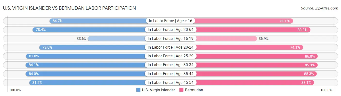 U.S. Virgin Islander vs Bermudan Labor Participation