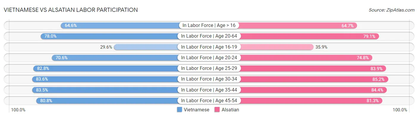 Vietnamese vs Alsatian Labor Participation