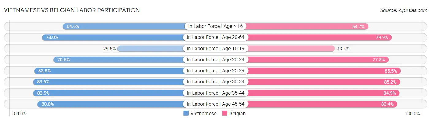 Vietnamese vs Belgian Labor Participation