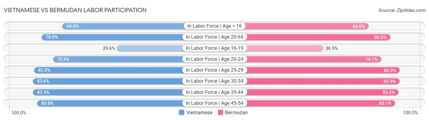 Vietnamese vs Bermudan Labor Participation
