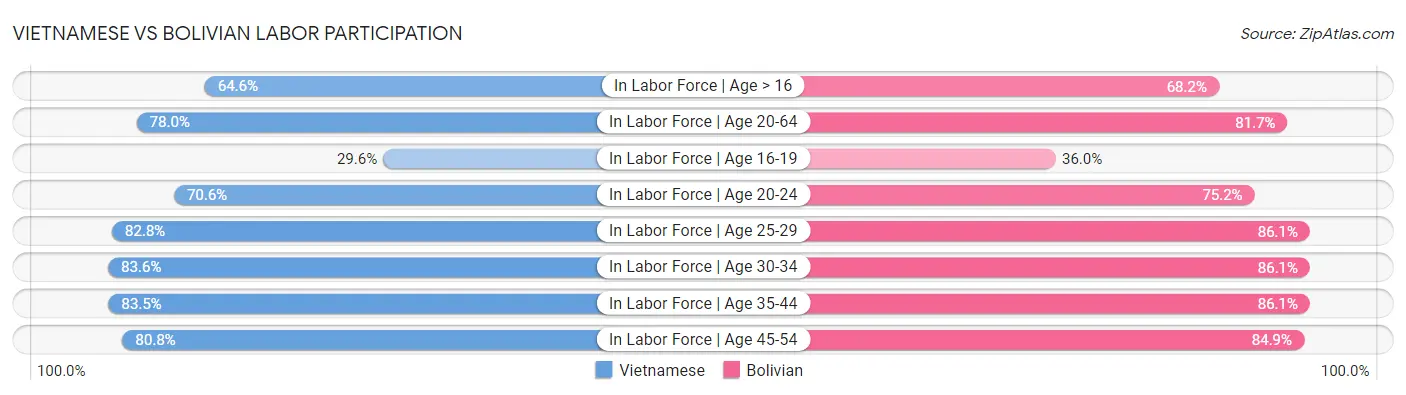 Vietnamese vs Bolivian Labor Participation