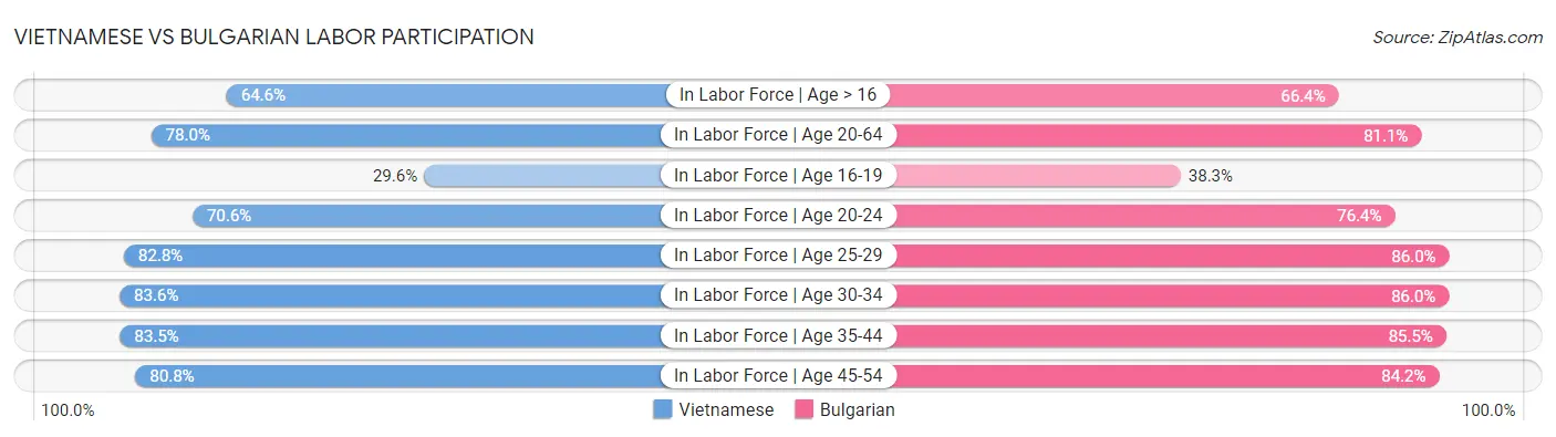 Vietnamese vs Bulgarian Labor Participation