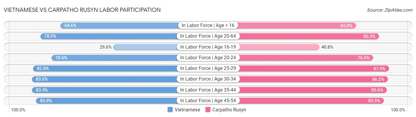Vietnamese vs Carpatho Rusyn Labor Participation