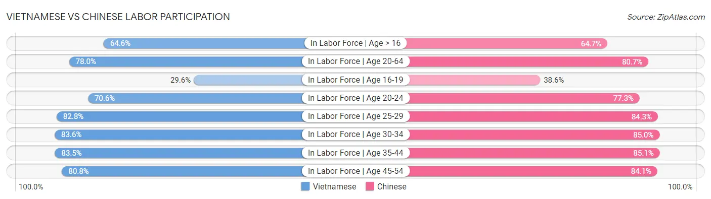 Vietnamese vs Chinese Labor Participation