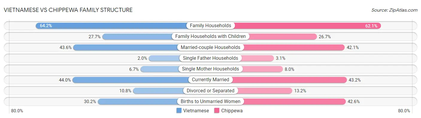 Vietnamese vs Chippewa Family Structure
