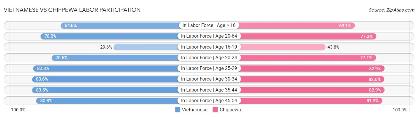 Vietnamese vs Chippewa Labor Participation