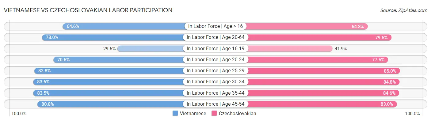 Vietnamese vs Czechoslovakian Labor Participation