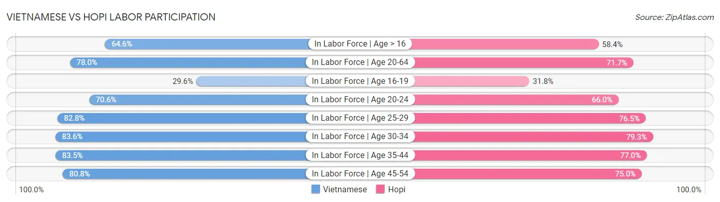 Vietnamese vs Hopi Labor Participation